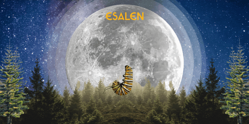 Animated graphic of a catepillar turning into a butterfly and flying away