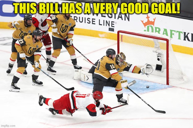 Photo of a play at the goal during the NHL 2026 Stanley Cup Final between the Carolina Hurricanes and the Vegas Golden Knights.