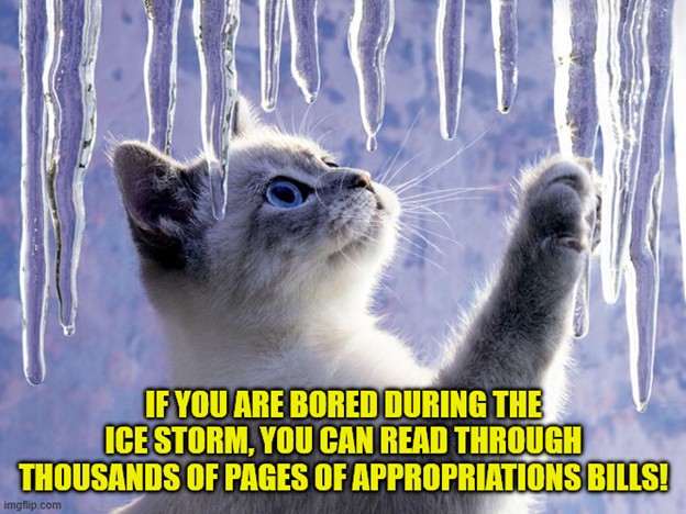 Fluffy white kitten pawing glistening icicles that are hanging above its head.