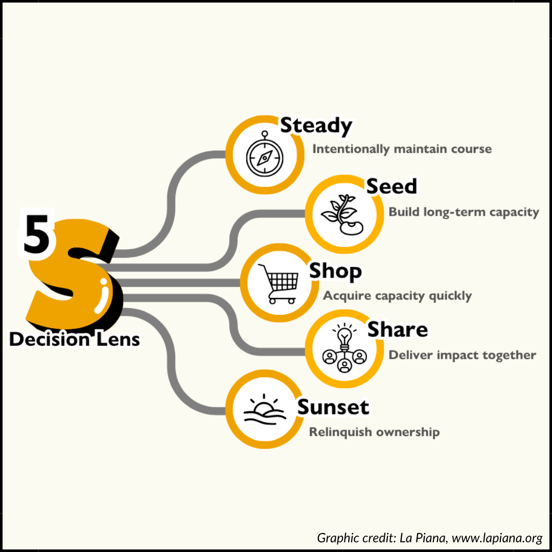 Graphic of La Piana's 5S Decision Lens for nonprofit organizations.