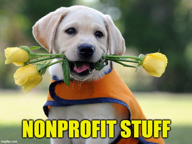 A cute white puppy in an orange cape and holding yellow roses in its mouth. Text reads 'Nonprofit stuff.'