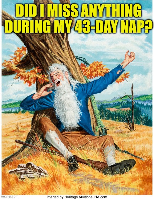 Fictional character Rip Van Winkle waking up and stretching beneath a large three trunk. Text reads 'Did I miss anything during my 43-day nap?'