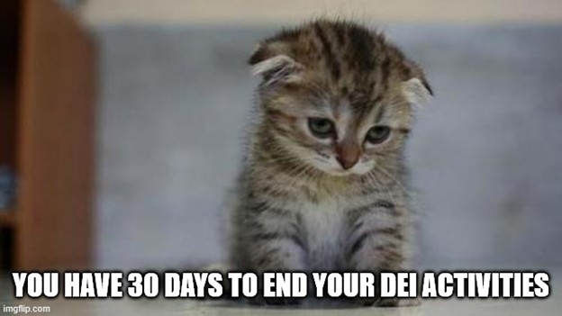 Photo of a cute brown and white kitten looking down as if sad. Text reads 'You have 30 days to end your DEI activities.'