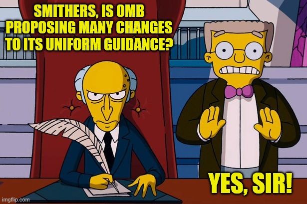 Image of TV sitcom characters Mr. Burns and Mr. Smithers. Text above Mr. Burns reads 'Smithers, is OMB proposing many changes to its uniform guidance? Text below Mr. Smithers reads 'Yes, Sir!'