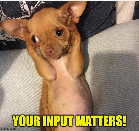 Meme with photo of a small brown chihuahua looking forlorn and trying to cover its pointy ears with its front paws. Text reads 'Your input matters!'