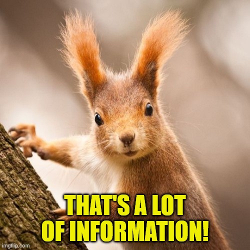 Close up of brown squirrel hanging on a tree trunk with its fuzzy ears raised in alarm. Meme text reads 'That's a lot of information!'